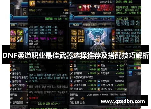 DNF柔道职业最佳武器选择推荐及搭配技巧解析