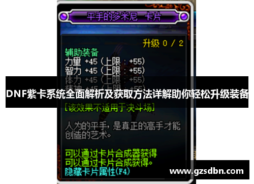 DNF紫卡系统全面解析及获取方法详解助你轻松升级装备